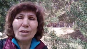 Сосновые почки