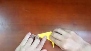 Origami Pelican - How To Make Pelican