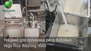 Промывки риса, бобовых, гороха, фасоли, Vega Rice Washing H500 | Мойка и очистка