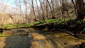 Эпизод 1. Истоки реки Красивой | Япония, Хоккайдо