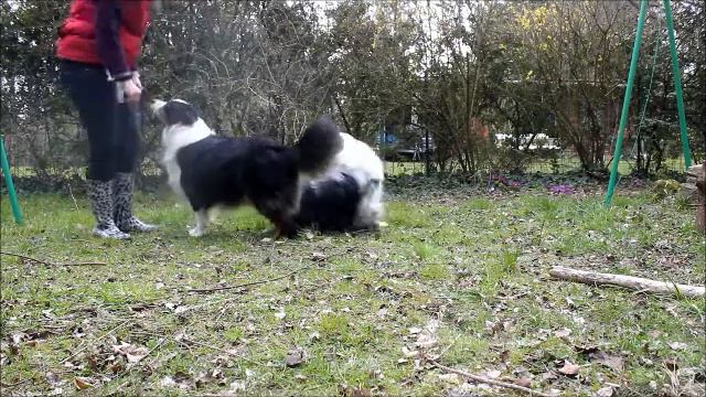 obéissance смотреть онлайн