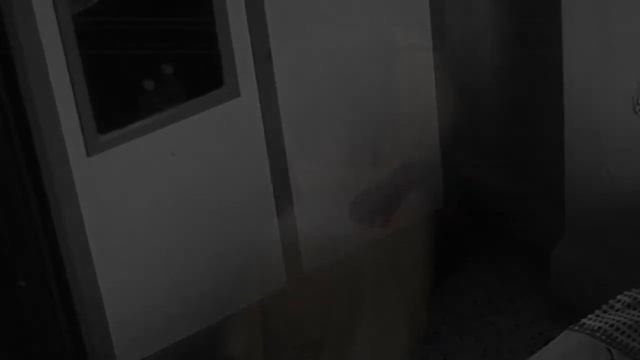 #Шокирующее видео с призраками смотреть онлайн