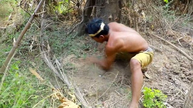 survival in the rainforest - BEE POTATO смотреть онлайн