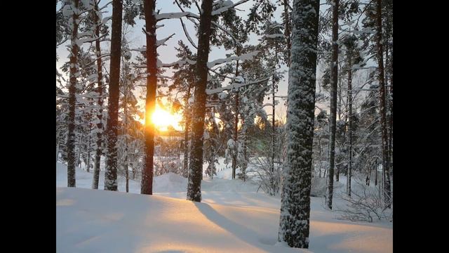 Лучшее место на Земле! смотреть онлайн