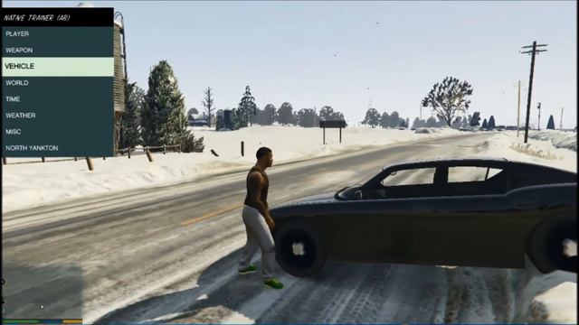 Как попасть в северный янктон в Gta V смотреть онлайн