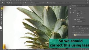 The Ultimate Guide to the Object Selection Tool - Photoshop Tools in 2 Minutes