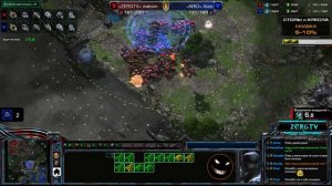 ★ Команда ZERGTV vs Wild Baguette | StarCraft 2 с ZERGTV ★
