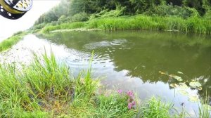 Нахлыст на Оке . Август 2023