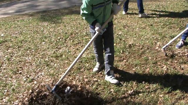 Субботник в парке городского округа Балашиха смотреть онлайн