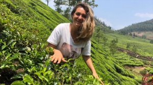 ЧАЙНЫЕ ПЛАНТАЦИИ В ШТАТЕ КЕРАЛА (Индия)