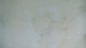 Что будет снегом если на сыпать соль