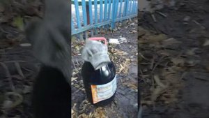 Замена масла в мосту УАЗ 3303-и установка ГБО.