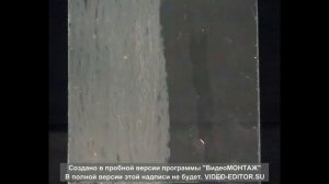 Смачивание и несмачивание. Смачивание. Опыт по физике