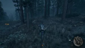 Days gone|Жизнь после прохождение➤Часть 22➤Ночь напролет.