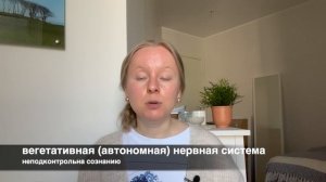 НЕРВНАЯ СИСТЕМА: МОЗГ И КИШЕЧНИК, СИМПАТИЧЕСКАЯ И ПАРАСИМПАТИЧЕСКАЯ, НЕЙРОМЕДИАТОРЫ. ЧАСТЬ ВТОРАЯ.