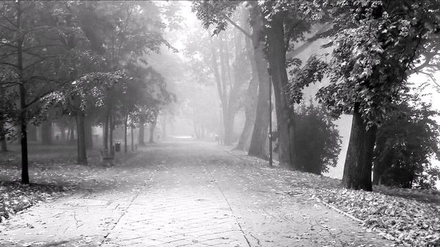 М.Глинка "Сомнение" / M.Glinka - Romance
