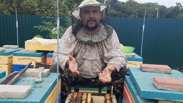 Изоляция Маток-Борьба с Клещём!!! смотреть онлайн