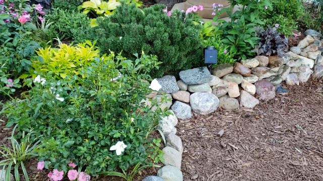 Fountain garden tour and update 💧🌱 //Suburban Oasis August 2020 смотреть онлайн