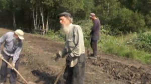 Дорога в деревне. 17. 08. 2016. Посёлок Потеряевка. Алтай.