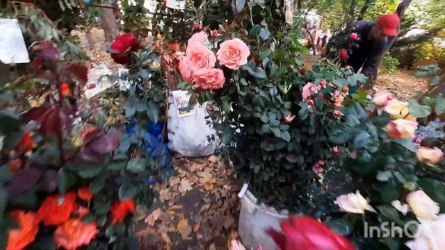 ВЫСТАВКА-ЯРМАРКА "ОСЕННИЙ САД" В ПАРКЕ им. В. ЧЕРЕВИЧКИНА ОКТЯБРЬ 2022г.? г. Ростов-на-Дону смотреть онлайн