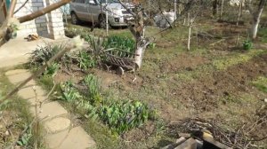 Украшение дачи своими руками