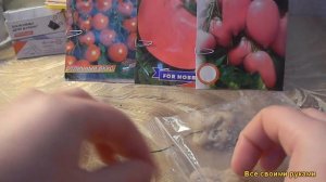 Сеем Томаты без Пикировки