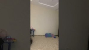 «Рыжий кот» Стеша танцует танец