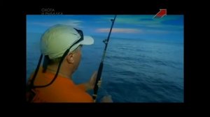 Мальдивы морская рыбалка на Троллинг