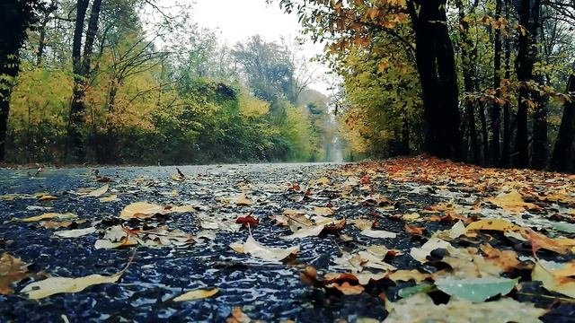 Звук дождя 4K / 4K Rain Sound. Для глубокого сна и релакса. Крепкий сон обеспечен. #звукидождя