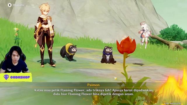 Quest Bake Danuki Wanderlust Part 1 - Archipelago v2.8 Genshin Impact смотреть онлайн