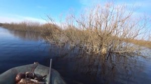 Завершение сезона охоты с подсадными утками 2023г.