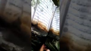 Коран не сгорел