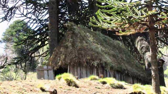 CANAL DIGITAL TODOS SOMOS ARICA смотреть онлайн