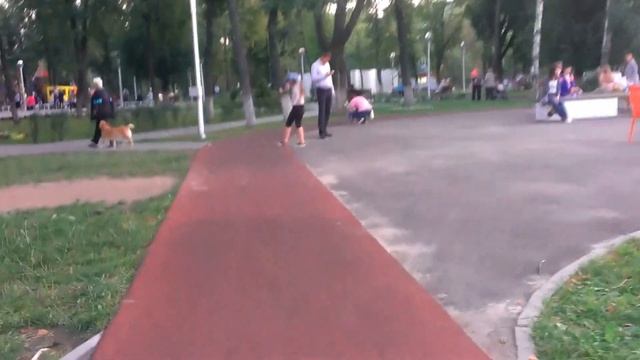 Парк ЗиО (Молодёжный)