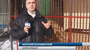 Дети в зоопарке Сызрани