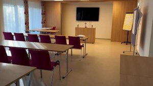 КАК В АВСТРИИ ЖИВУТ ОДИНОКИЕ СТАРИКИ