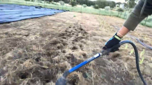 Planting смотреть онлайн