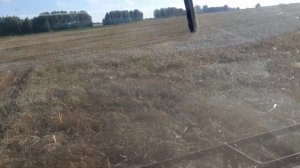 Наконец-то выехали на обмолот ячменя ( комбайны Вектор-410) Заготовка зерносенажа параллельно.