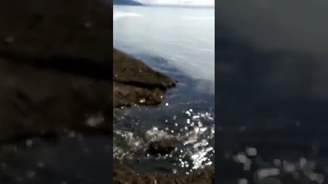 "Море побелело": на Сахалине селёдку ловят целыми лодками - 2 смотреть онлайн