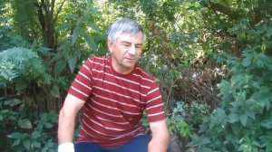 Село Стёжки