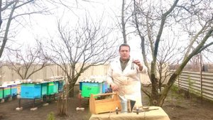 Инструменты пчеловода и пасечные приспособления 🛠