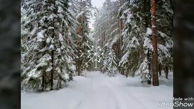 В лесу родилась ёлочка. Видео для детей. смотреть онлайн