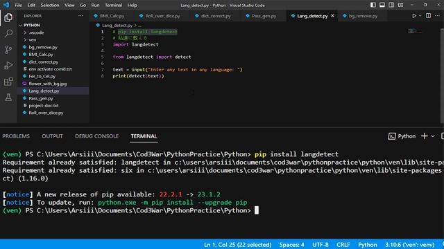 Python Language Detect Program #python смотреть онлайн