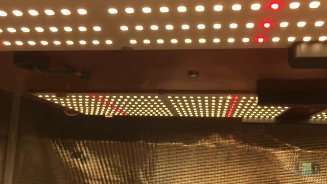 TOP 13 BEST LED Grow Lights 2021