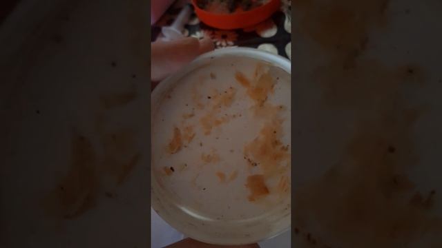 обзор на ОСУШИТЕЛЬ ПОДСТИЛКИ смотреть онлайн