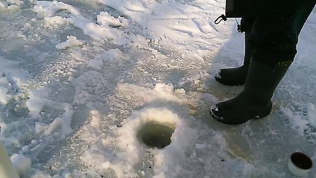Платная рыбалка в Запрудном