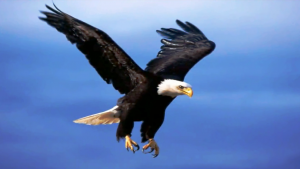 ПРОЩАНИЕ СЛАВЯНКИ..mp4