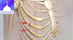 Если человек не совершает намаз !!!
