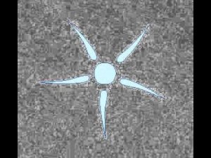 Выделение у инфузории