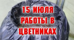 15 июля. Работа в цветниках.mp4